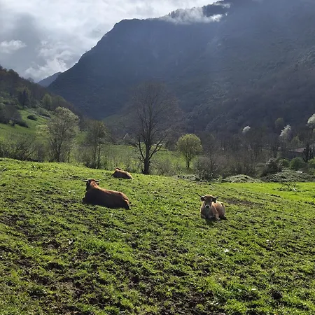 Lejlighed El Descanso Del Cares